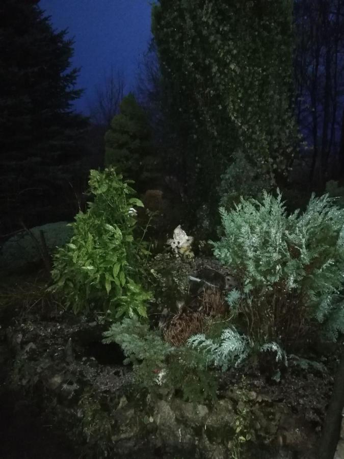 Holiday Home Tin Огулин Екстериор снимка